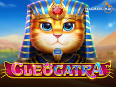 Knight online chat görevleri. Şutbet online casino.60